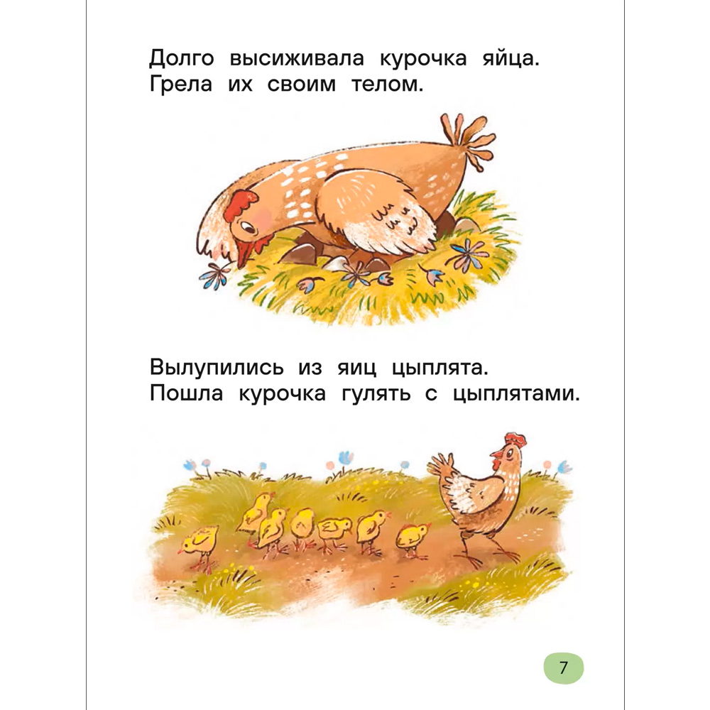 Книга 978-5-353-11120-7 Я читаю сам. Короткие тексты