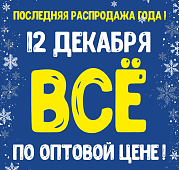 Последняя РАСПРОДАЖА ГОДА! 12 декабря - ВСЕ по ОПТОВОЙ цене!